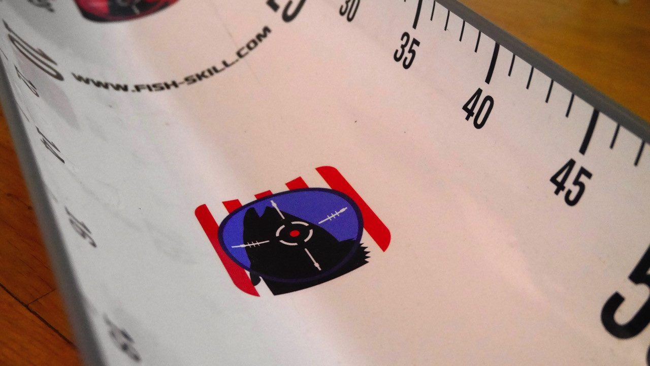 Fish-Skill Hechtrutsche