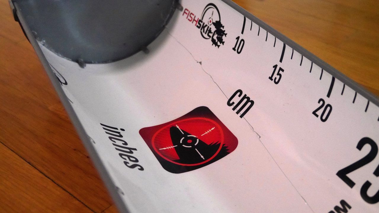 Fish-Skill Hechtrutsche