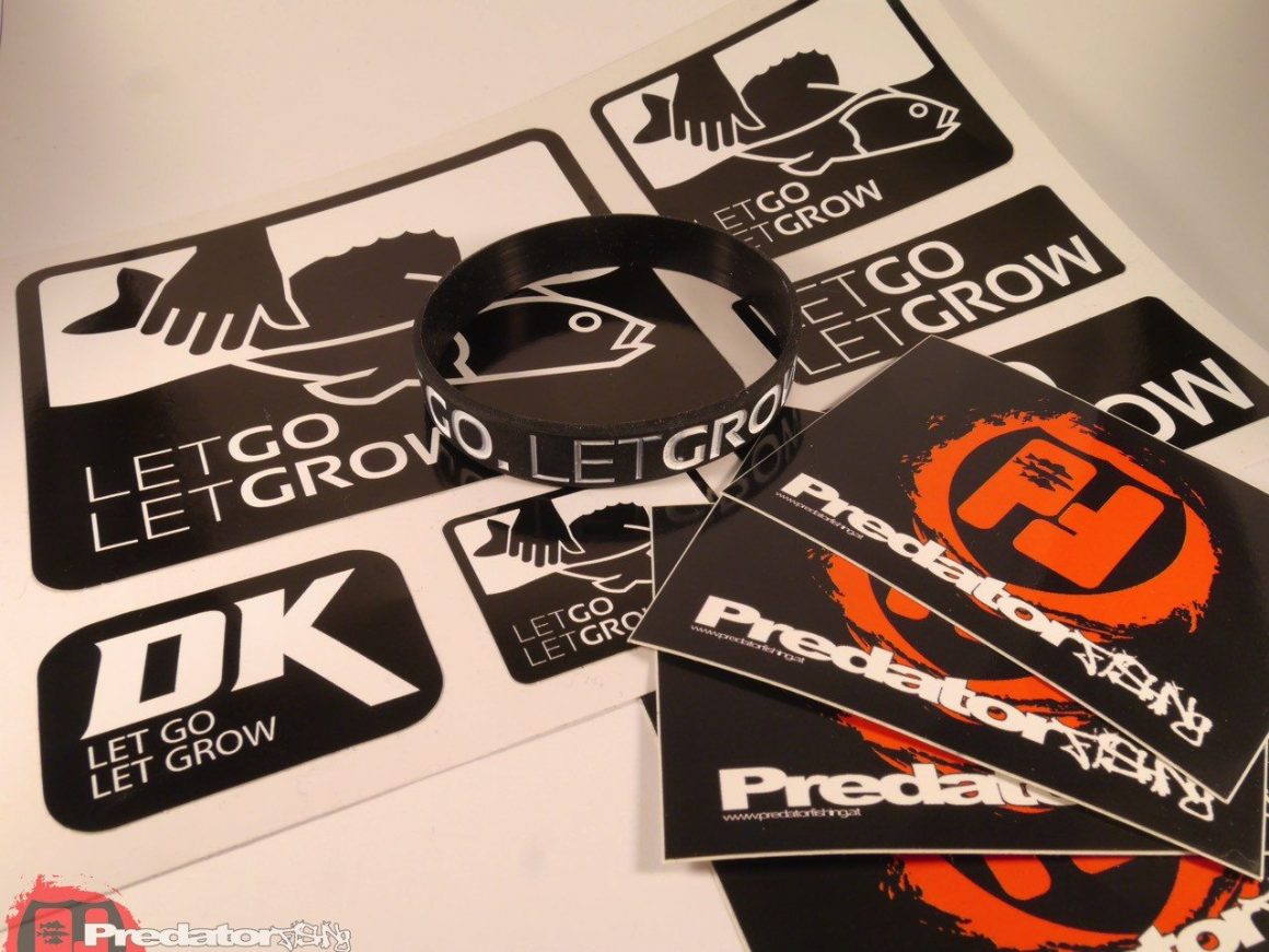 Fish-Skill-Hechtrutsche Gewinnspiel