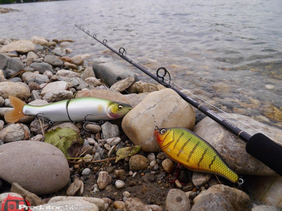 FOX Rage Terminator Elite Series - Jerkbait