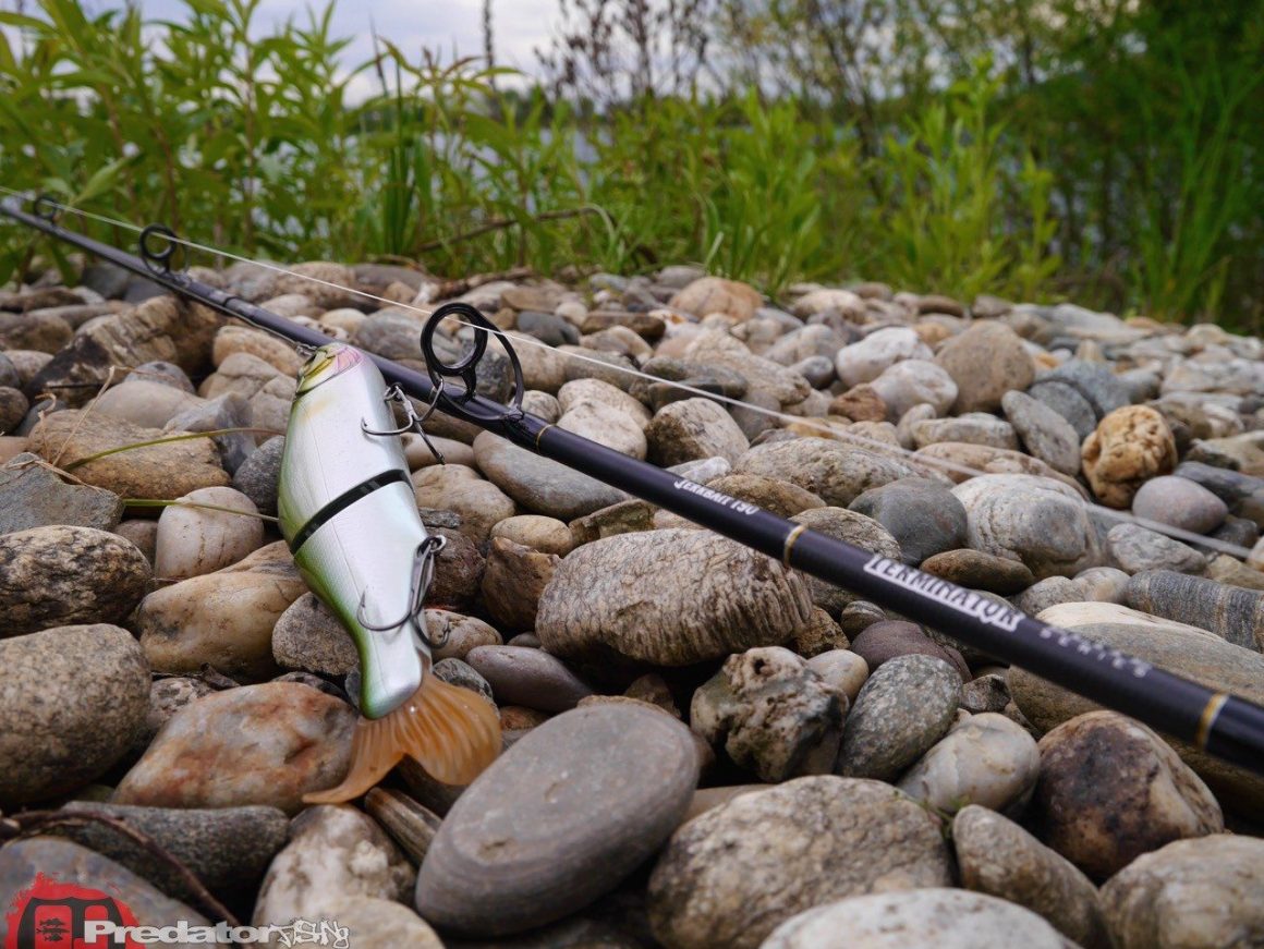 FOX Rage Terminator Elite Series - Jerkbait