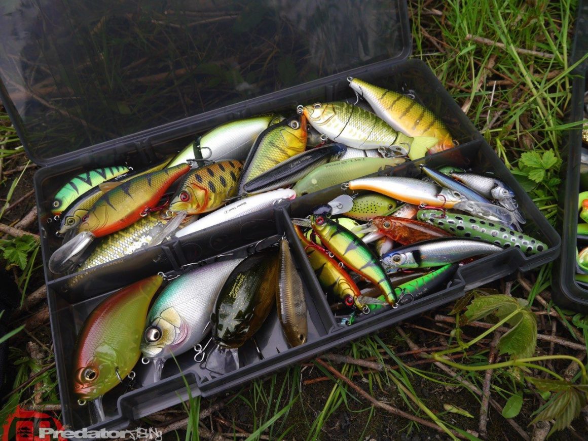 Fox Rage Stackn Store Box 8 Compartment Large Shallow