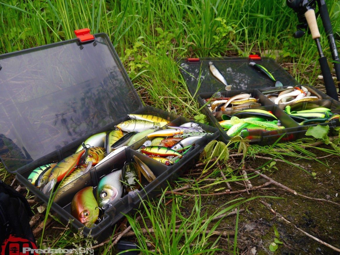 Fox Rage Stackn Store Box 8 Compartment Large Shallow