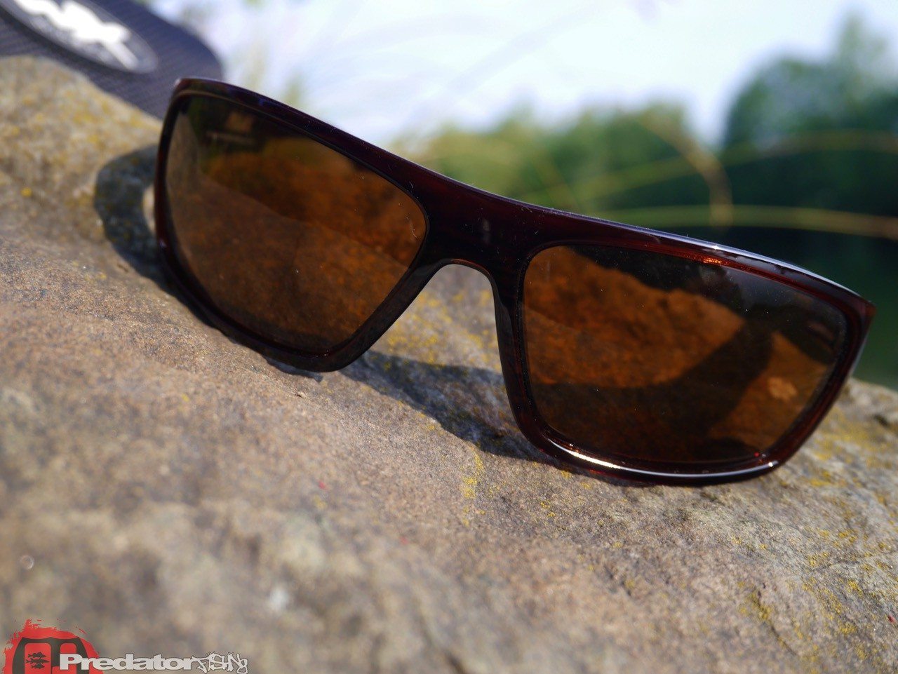 Wiley X Polbrille WX PEAK