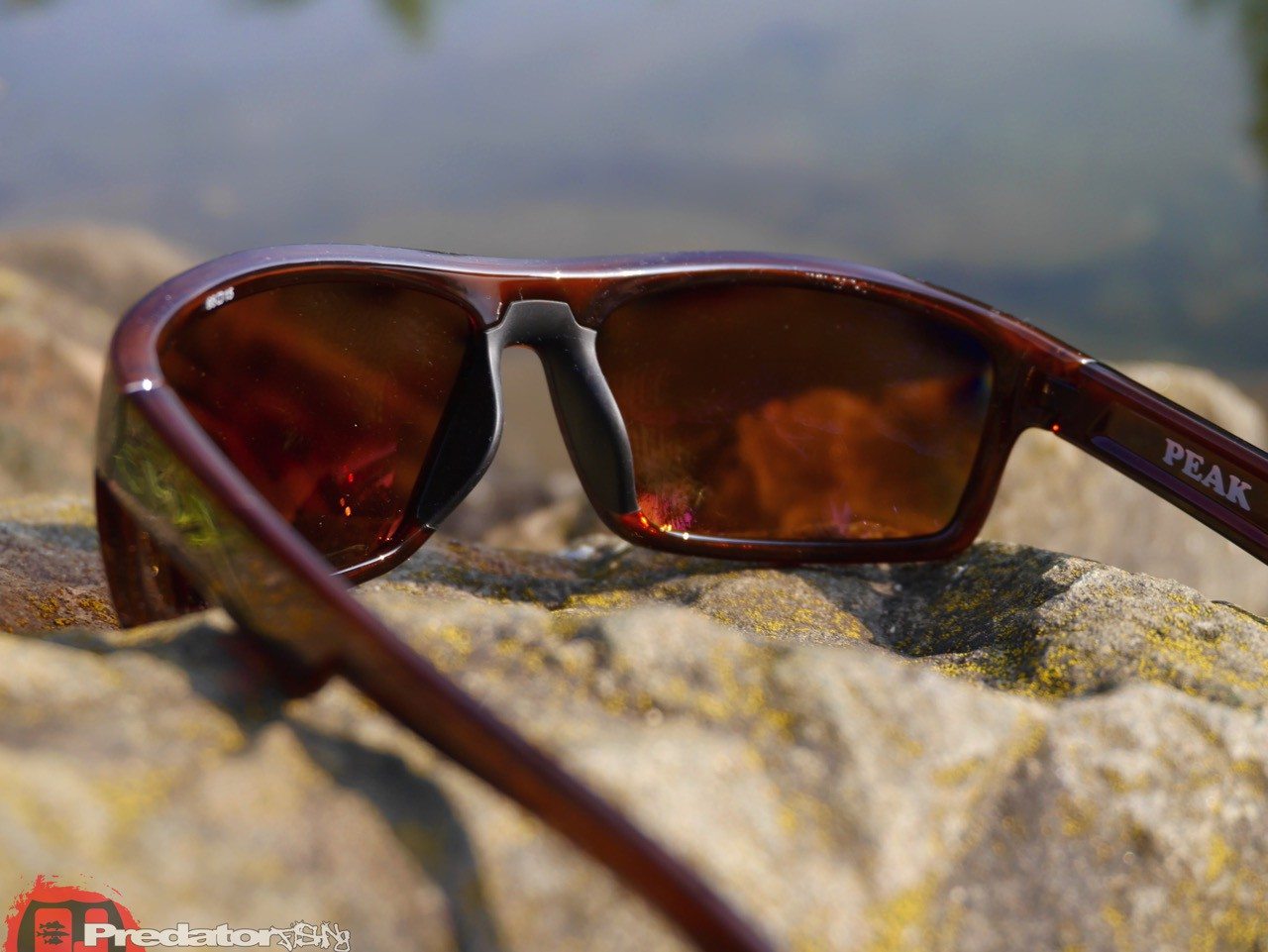 Wiley X Polbrille WX PEAK