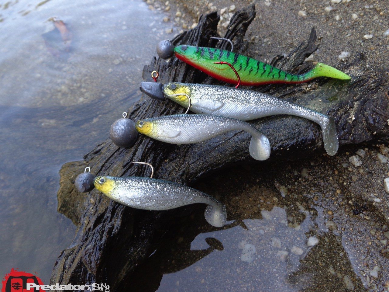 Westin Fishing – SHAD TEEZ