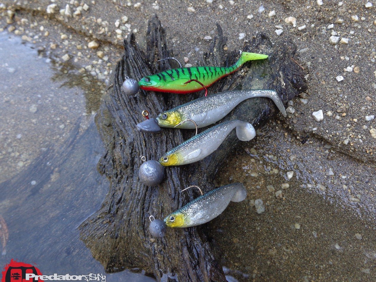 Westin Fishing – SHAD TEEZ