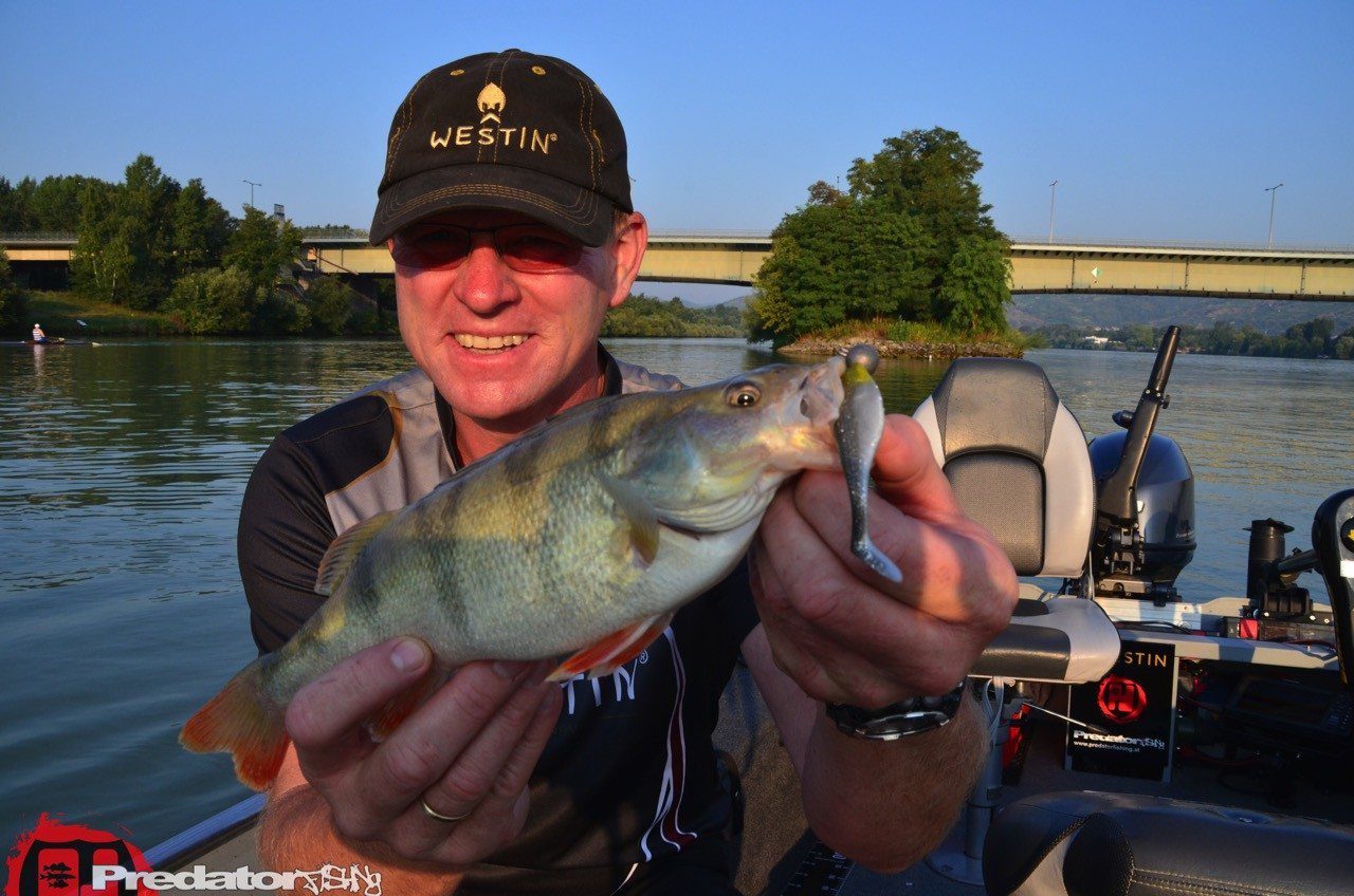Westin Fishing – SHAD TEEZ