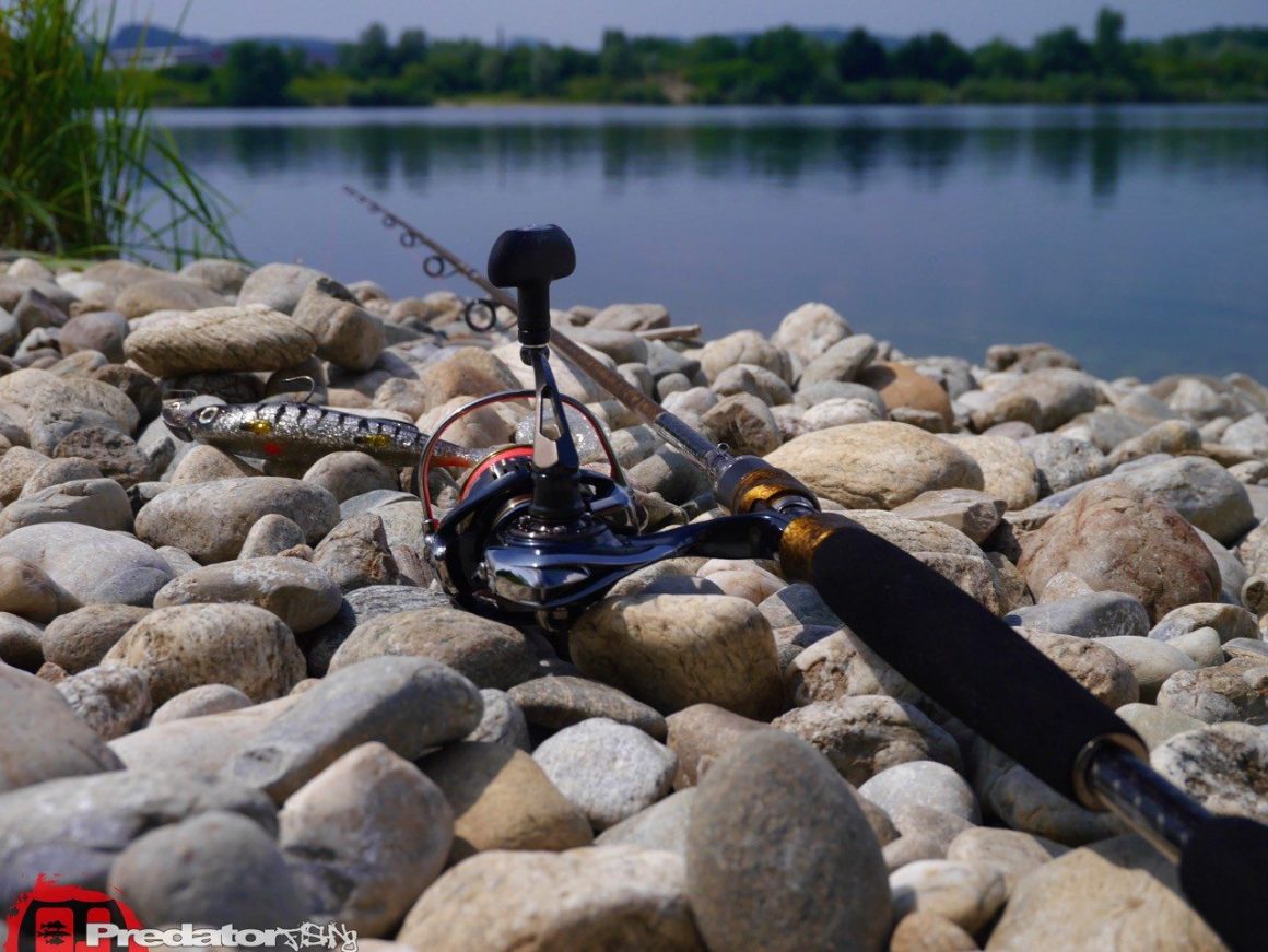 Westin Fishing- W8 Powershad