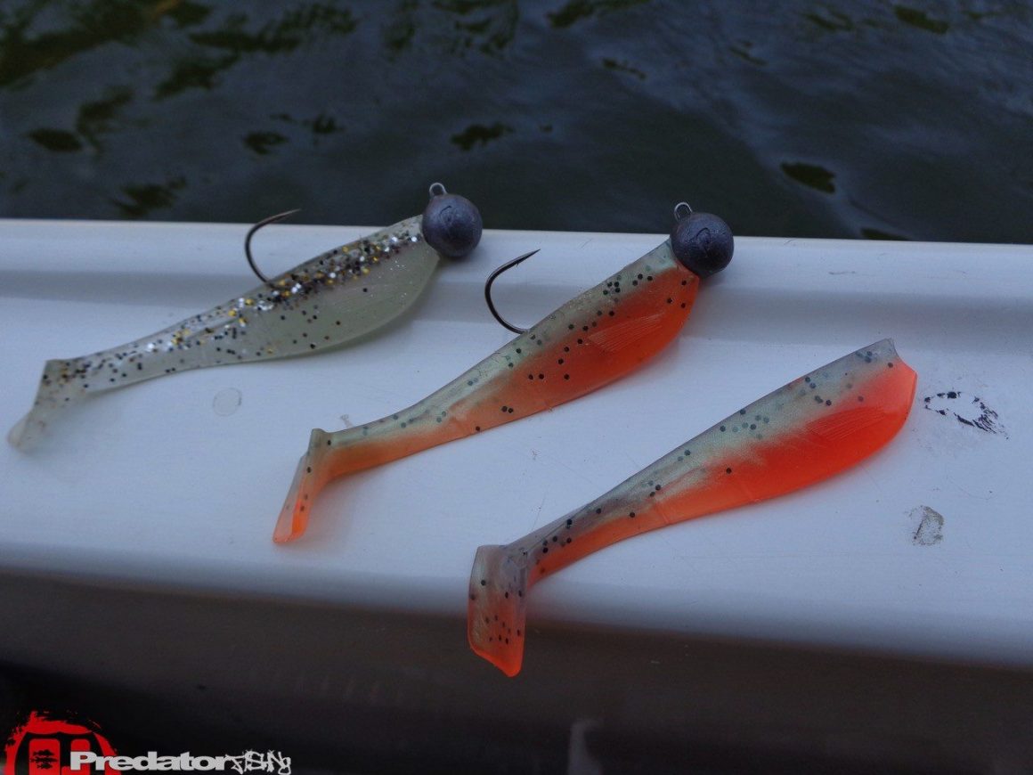 Westin Fishing PADDLE TEEZ