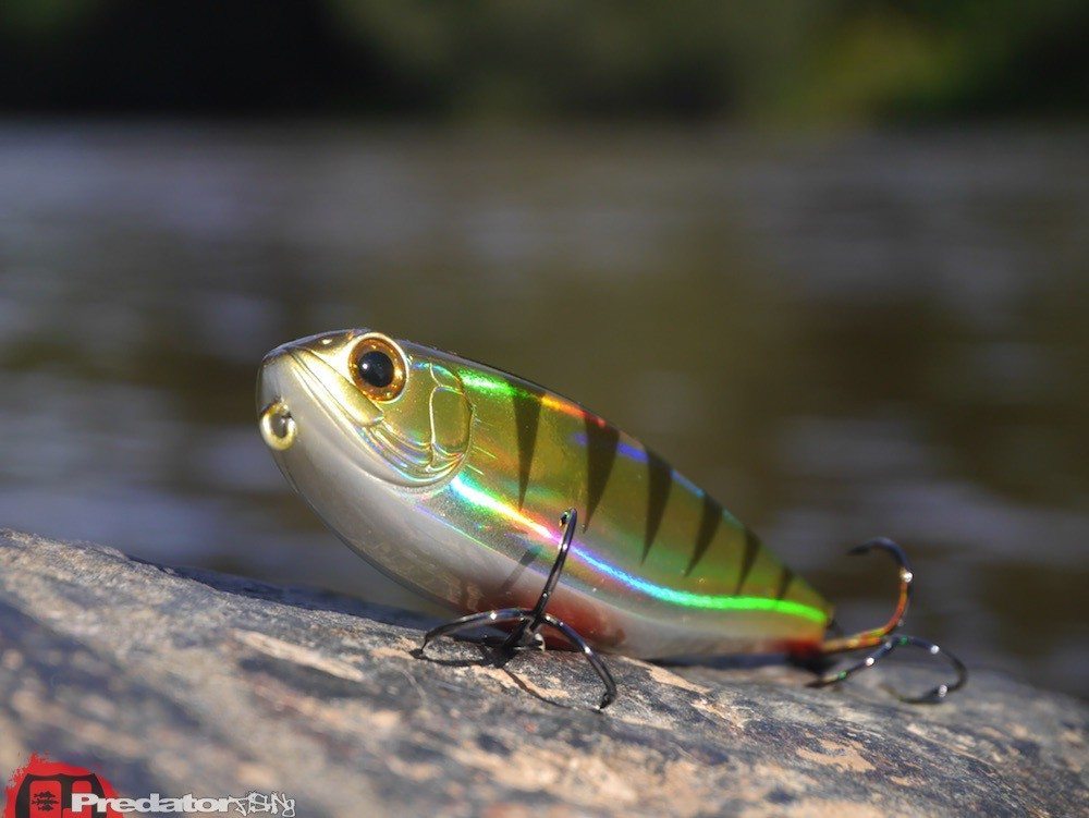 ZipBaits Irony Topwater Perch