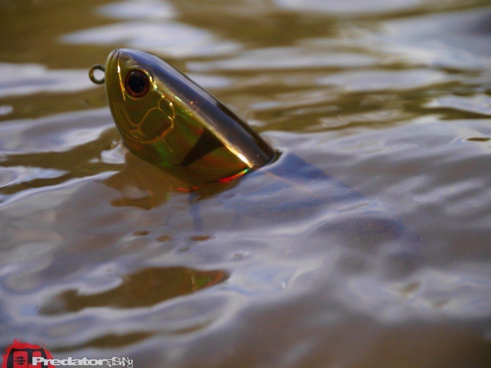ZipBaits Irony Topwater Perch