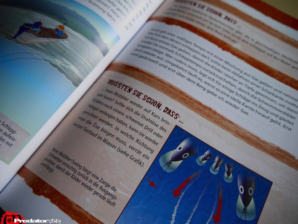 Erfolgreich Spinnfischen – Dietmar Isaiasch