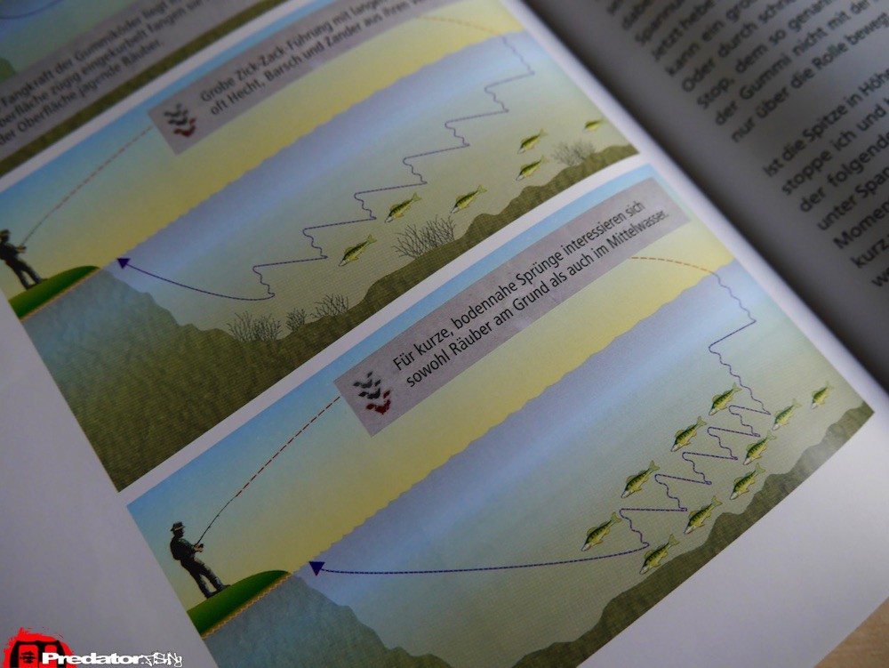 Erfolgreich Spinnfischen – Dietmar Isaiasch