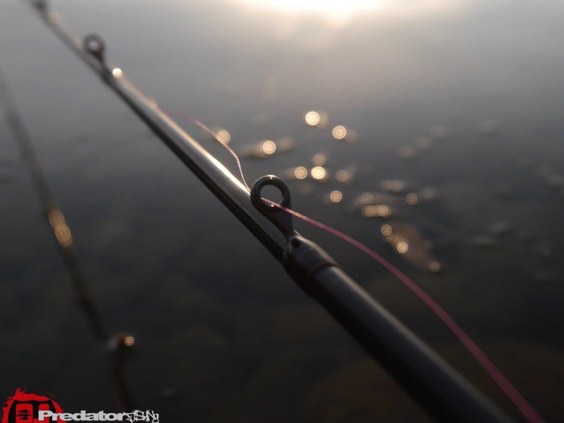 Westin Fishing W3 Vertical-Jigging-T