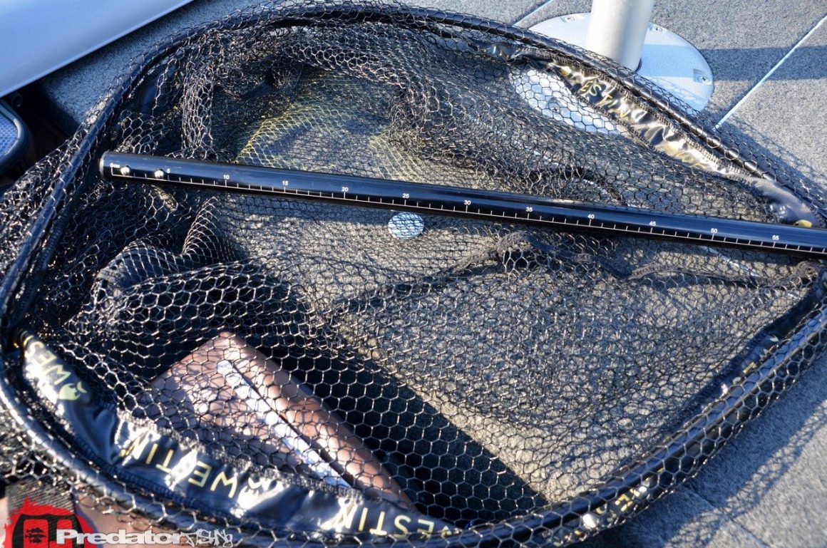 Westin W3 CR Landing Net – Kescher