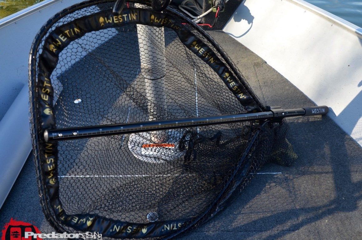 Westin W3 CR Landing Net – Kescher