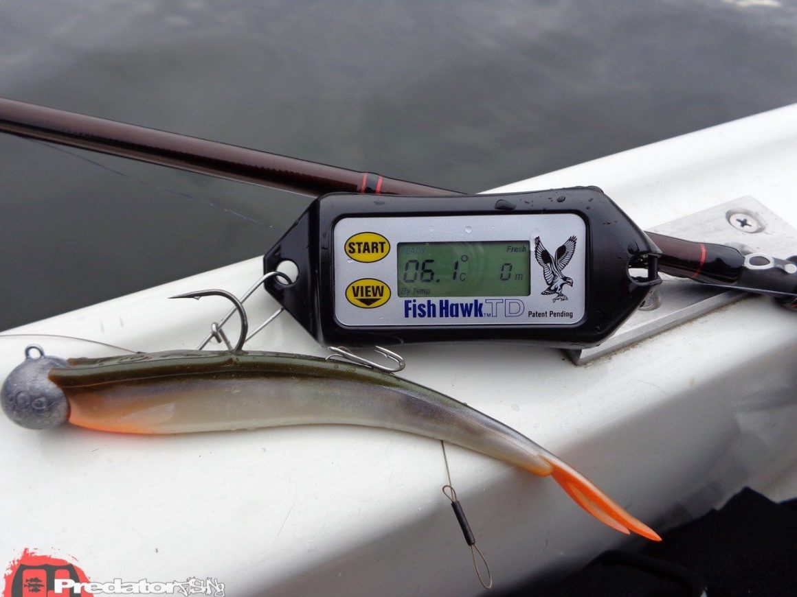 FISH-HAWK Anaconda Temperaturmesser