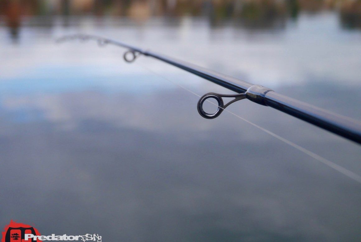 W6 Dropshot 8′ – Westin