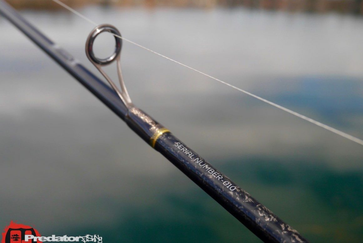 W6 Dropshot 8′ – Westin