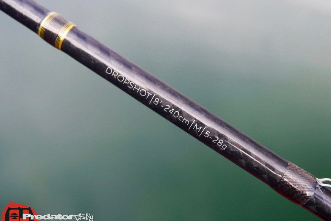 W6 Dropshot 8′ – Westin