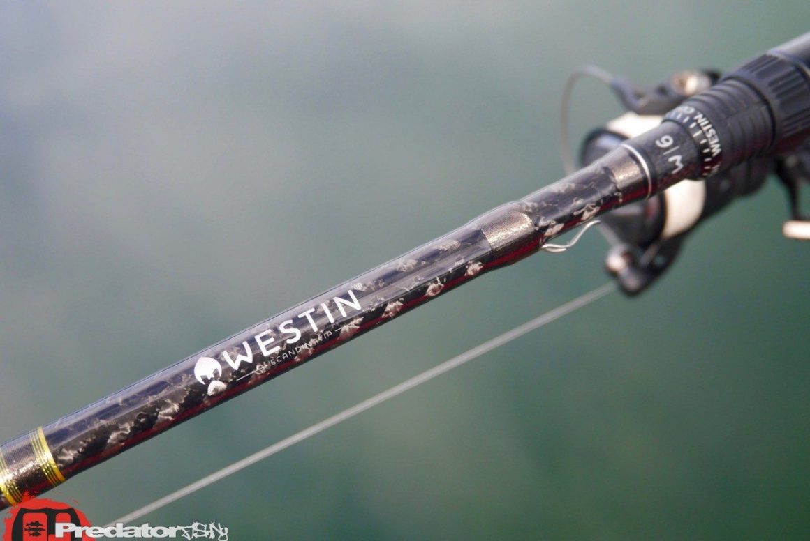 W6 Dropshot 8′ – Westin