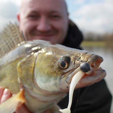 Westin KickTeez ST Westinfishing