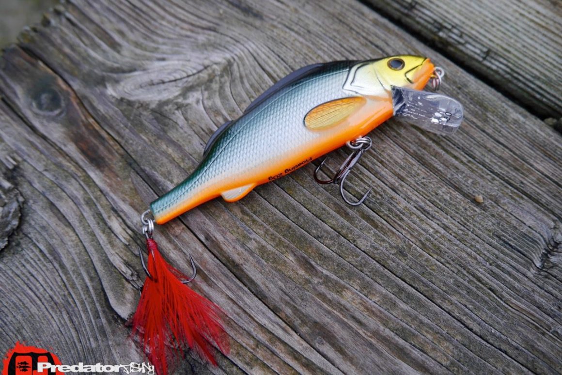Westinfishing-Percy-the-Perch-HL