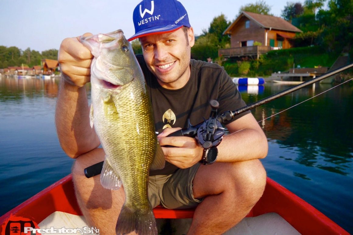 Megabass Destroyer BLACK JUNGLE F5-71XBJ