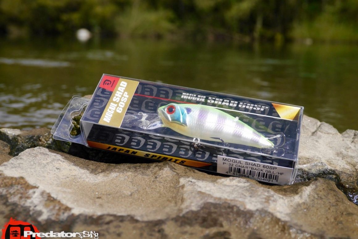 Bassday Mogul Shad 60SP P-32 Chartback Gill HF