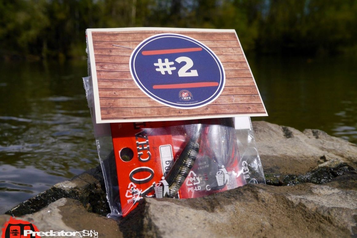 Fish Arrow Flash J Pintail 3″ # 024 Live Mogill / Silver