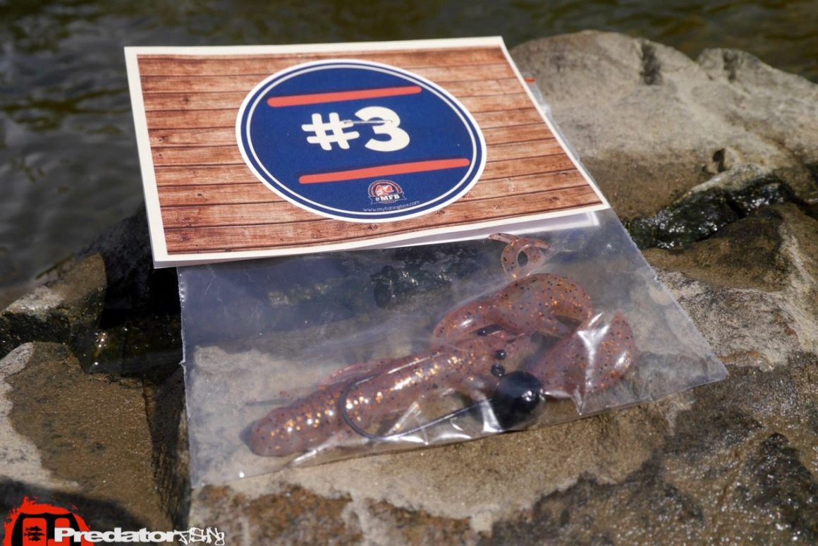 Fish Arrow Flash J Craw 3.5 # 05 Cinnamon / Brown Copper