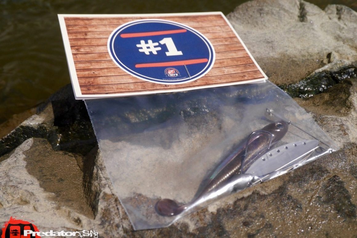 Fish Arrow Flash J Shad 3″ # 007 Wakasagi / Silver