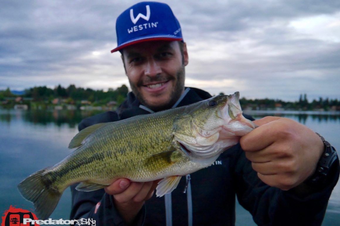 Megabass-KANATA-ONETEN