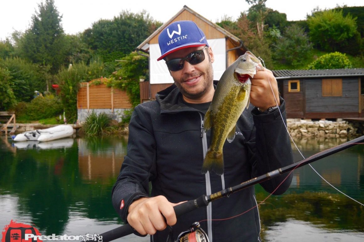 WESTIN-PowerTeez-Rute