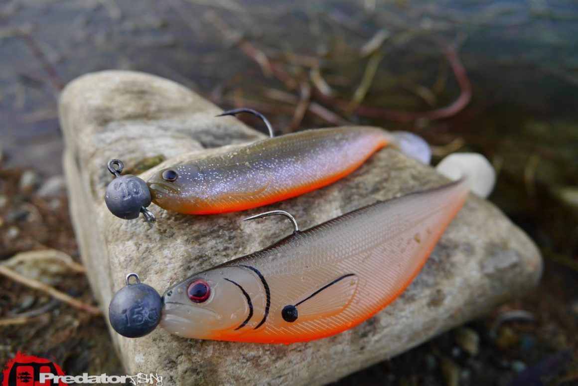 Westin-Shad-Teez-Slim-Body