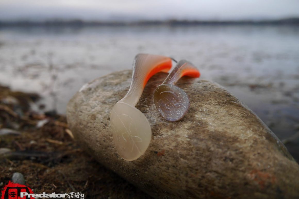 Westin Shad Teez Slim Body