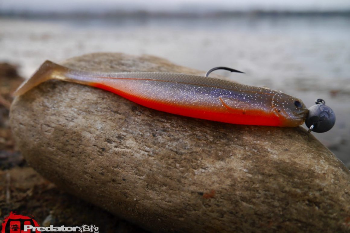 Westin-Shad-Teez-Slim-Body