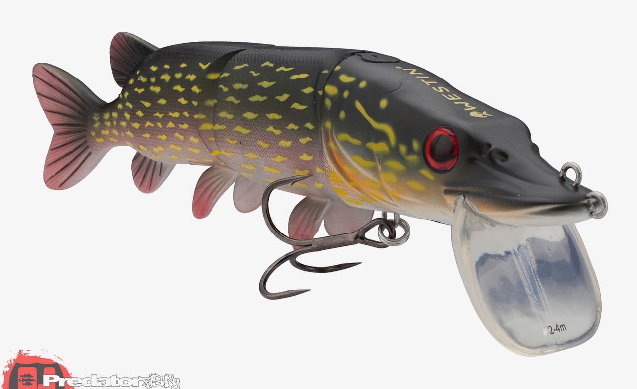 Westin News Frühjahr 2017 Tommy the Trout & Mike the Pike