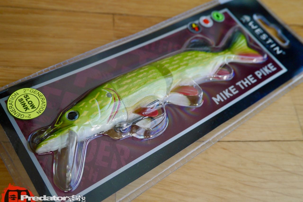 Westin News Frühjahr 2017 Percy the Perch