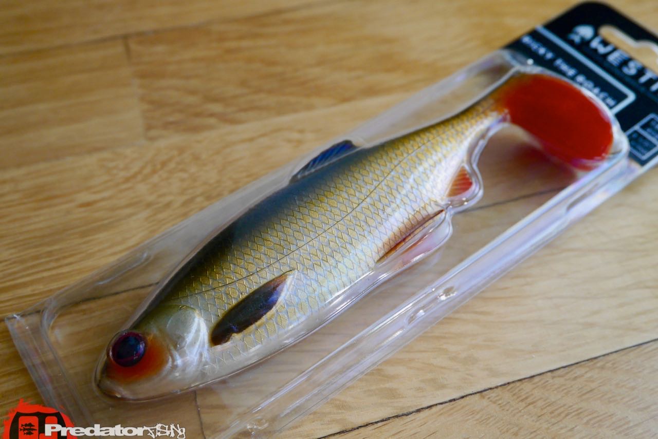 Westin News Frühjahr 2017 Ricky The roach