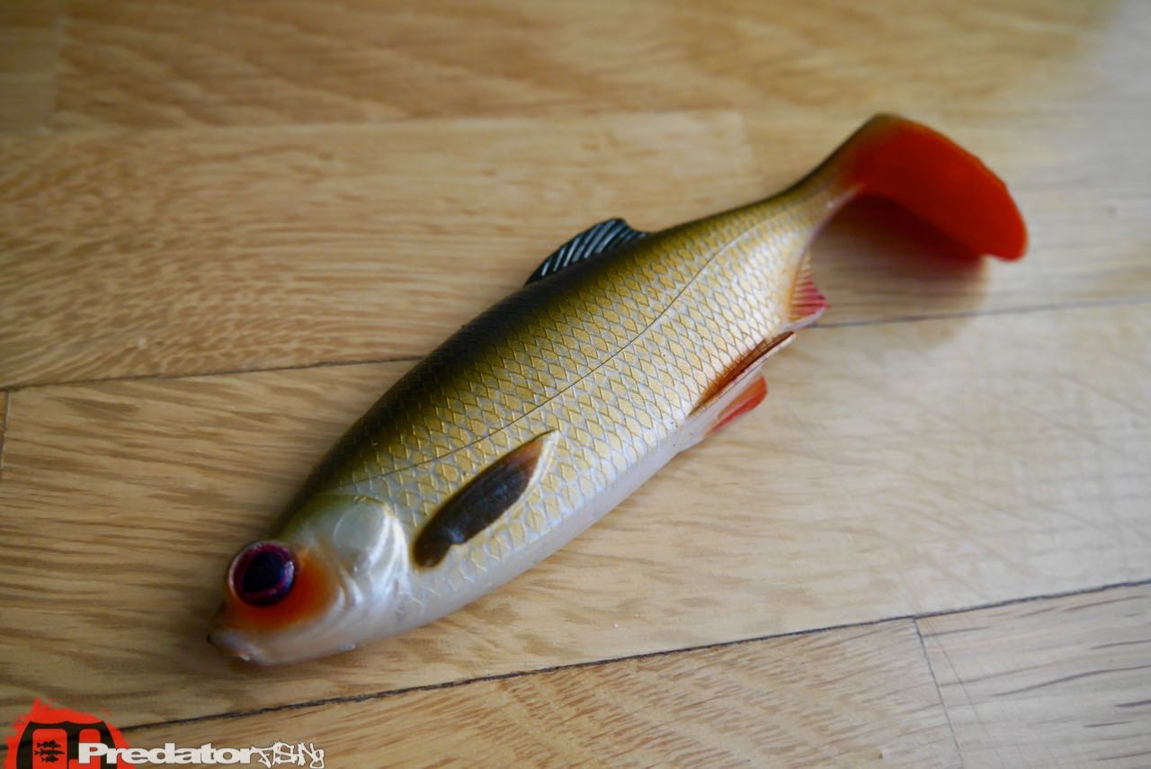 Westin News Frühjahr 2017 Ricky The roach