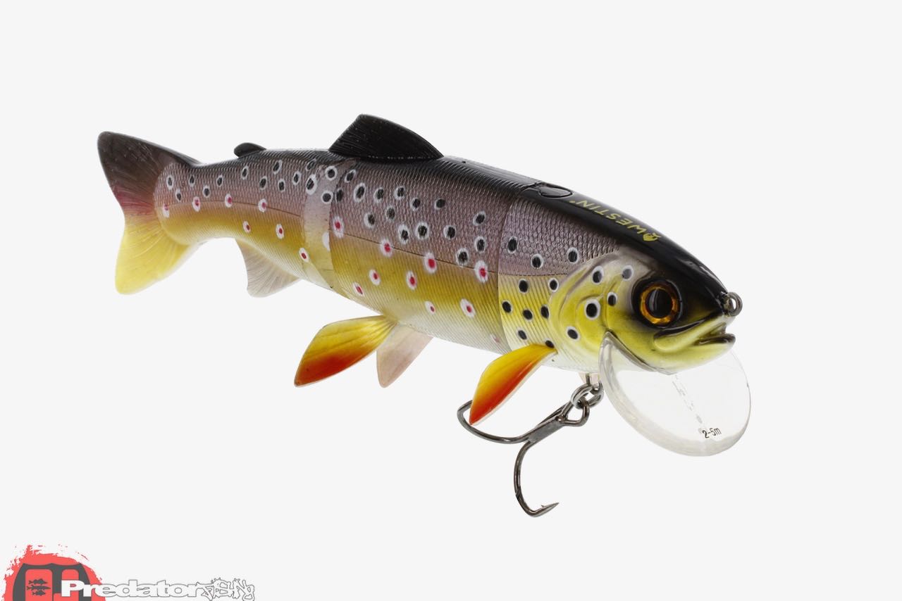 Westin News Frühjahr 2017 Tommy the Trout & Mike the Pike