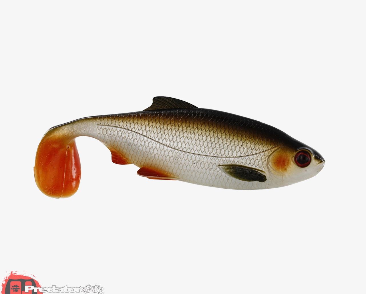 Westin News Frühjahr 2017 Ricky The roach