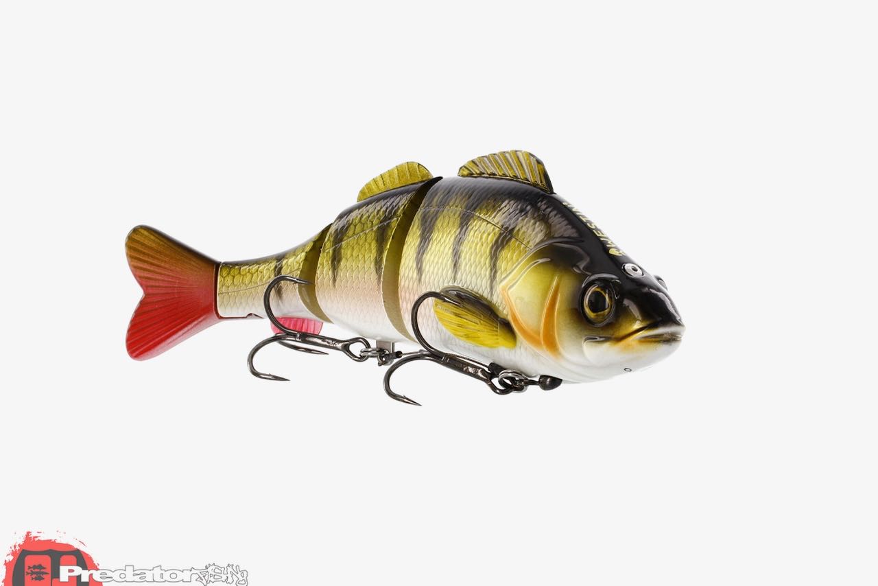 Westin News Frühjahr 2017 Percy the Perch