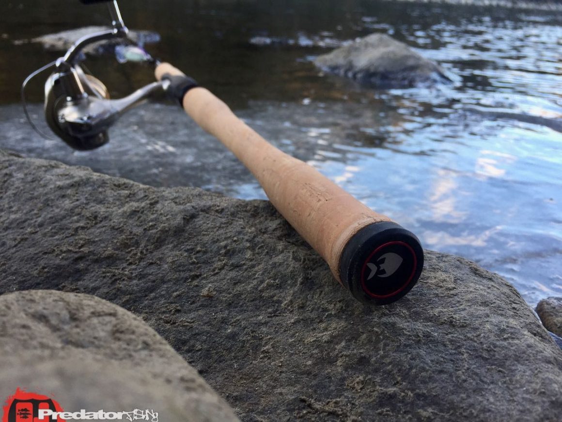 Westin W4 Powerlure XXH eine Huchen- Rute