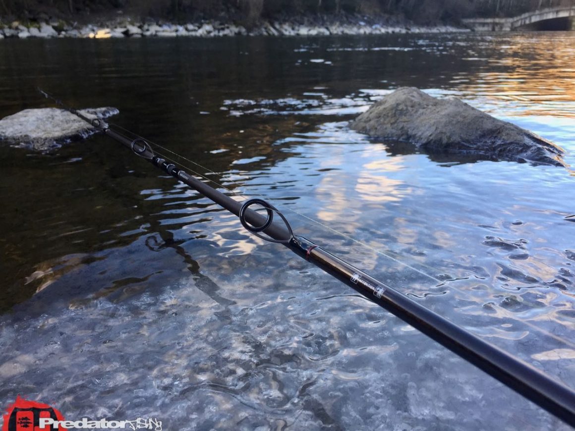 Westin W4 Powerlure XXH eine Huchen- Rute