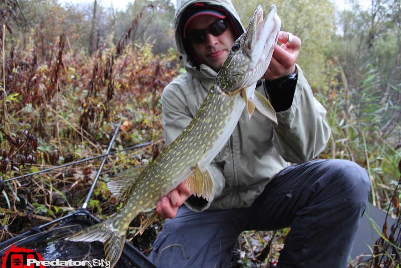 3 Raubfisch Gewässer für ein Haleluja