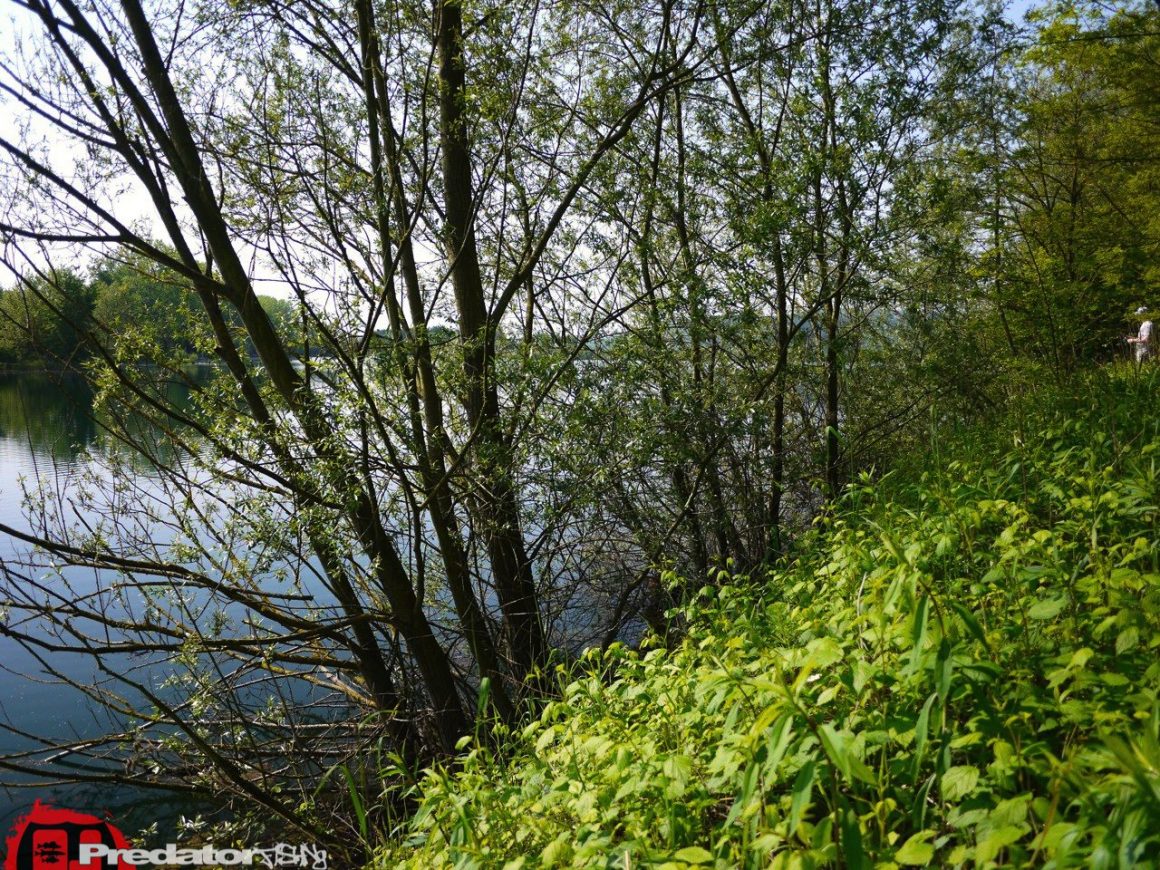 Am 1. Mai weder eine Hecht, noch einen Barsch gefangen-Blank