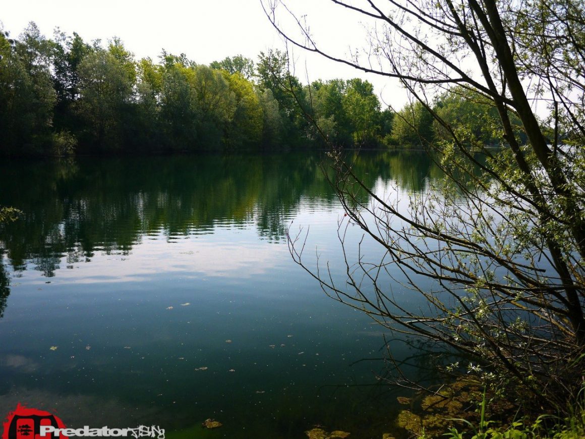 Am 1. Mai weder eine Hecht, noch einen Barsch gefangen-Blank